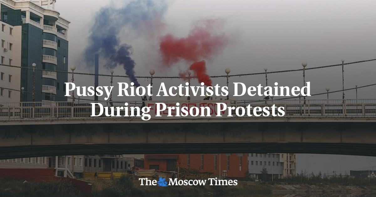 Pussy Riot Activists Detained During Prison Protests