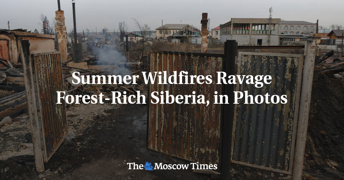 Summer Wildfires Ravage Forest Rich Siberia In Photos The Moscow Times