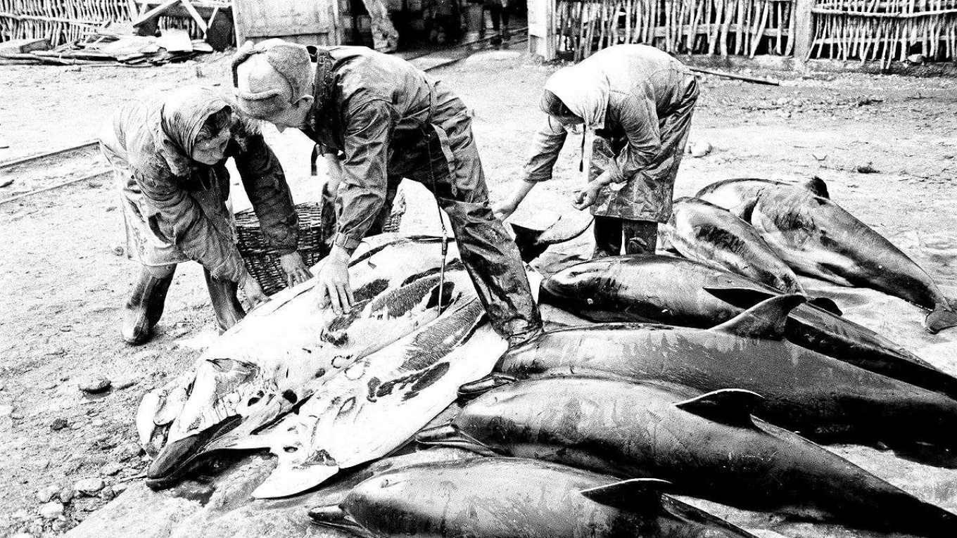 
					Butchering dolphins, Tuapse, 1947.					 					Wikimedia Commons				