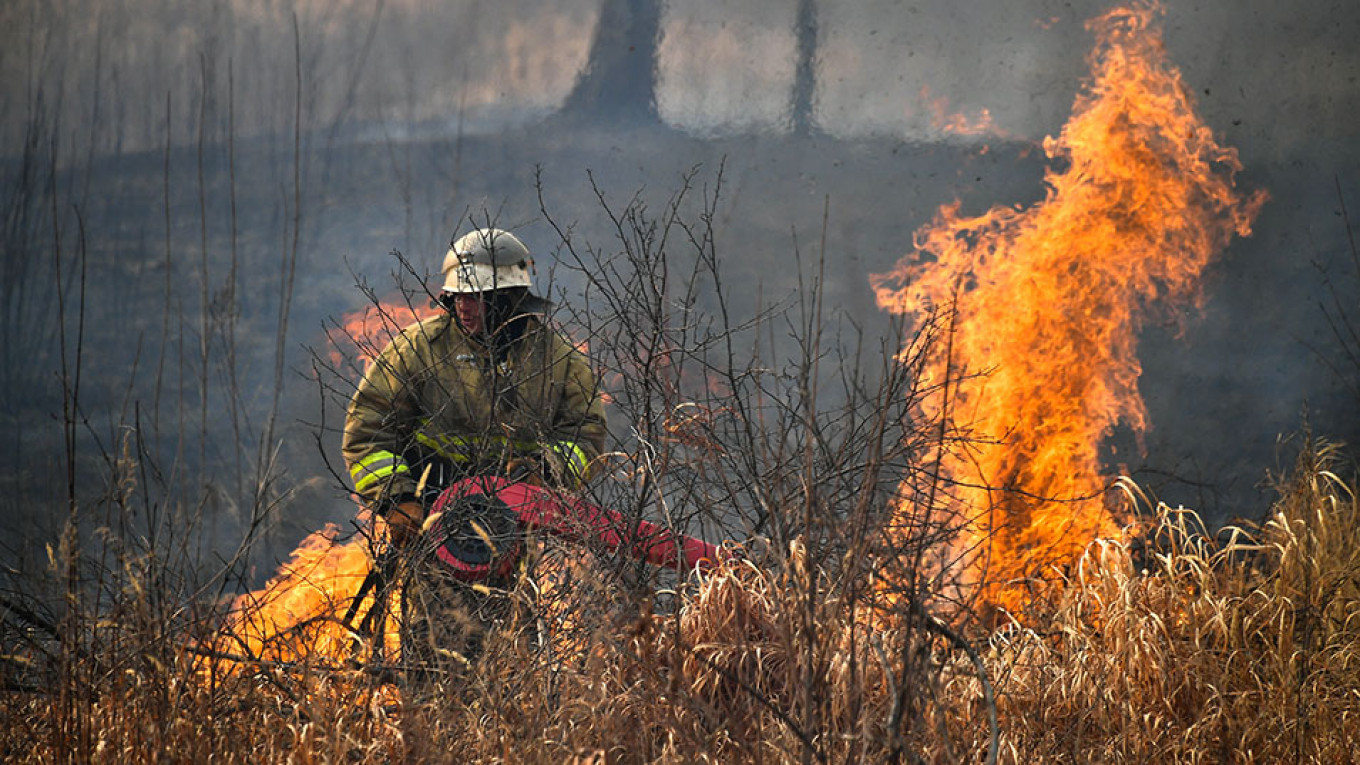 ‘Zombie’ Wildfires Threaten Arctic Russia, Scientists Warn - The Moscow