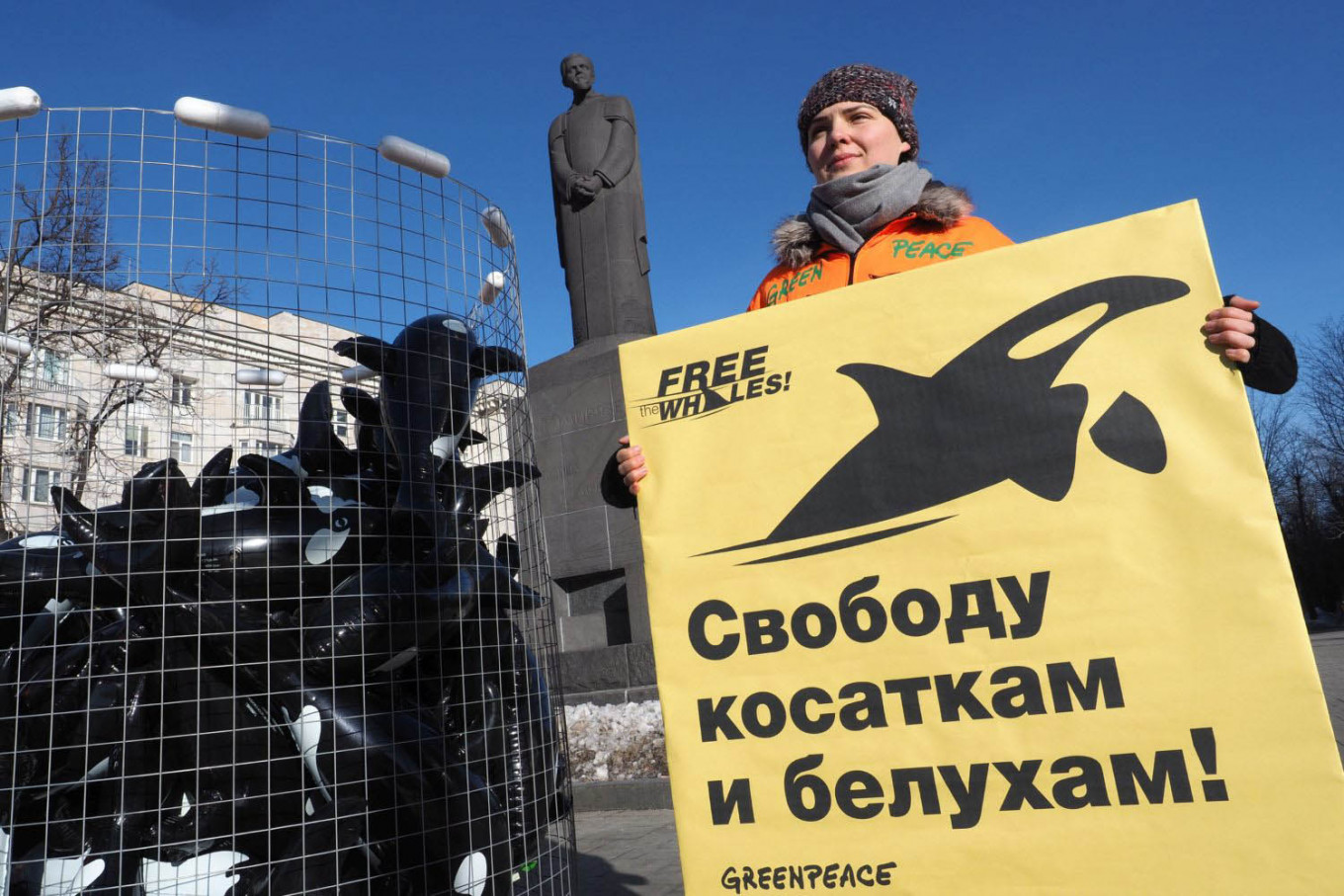 
					Rights activists gathered Monday in central Moscow to demand the animals' release.					 					greenpeace.ru				