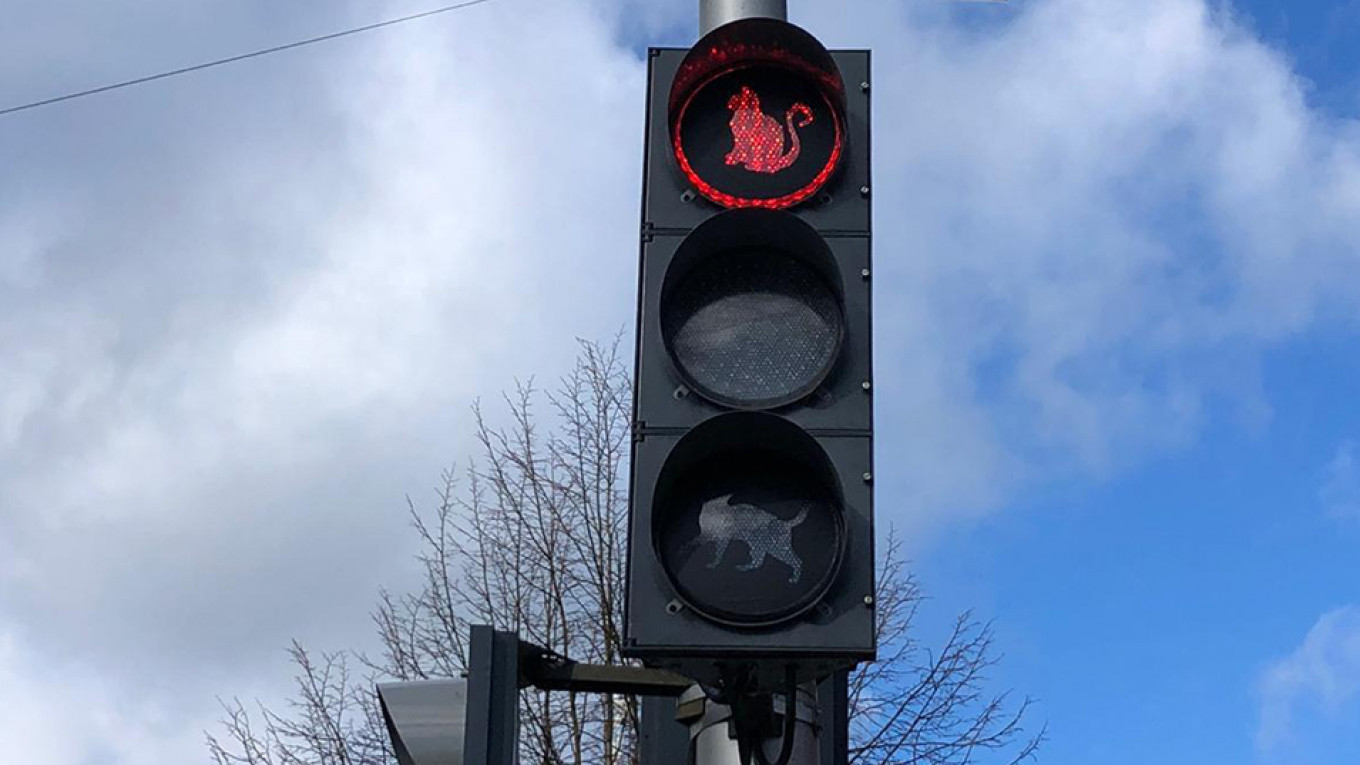 Russia’s ‘Cat City’ Installs Feline Traffic Lights The Moscow Times