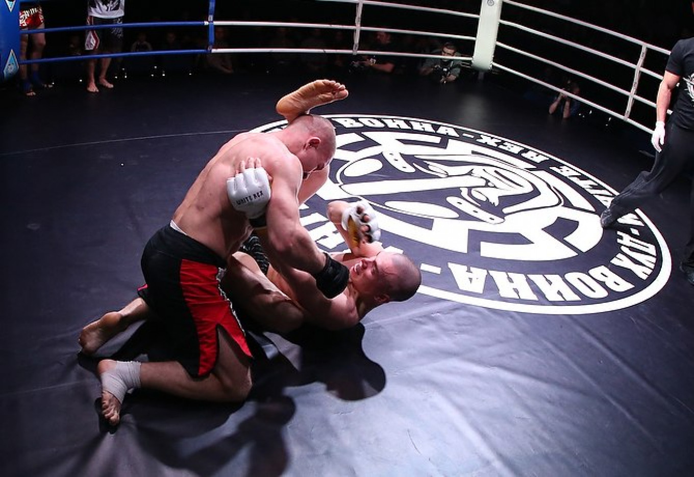 White Rex fighters / Vkontakte