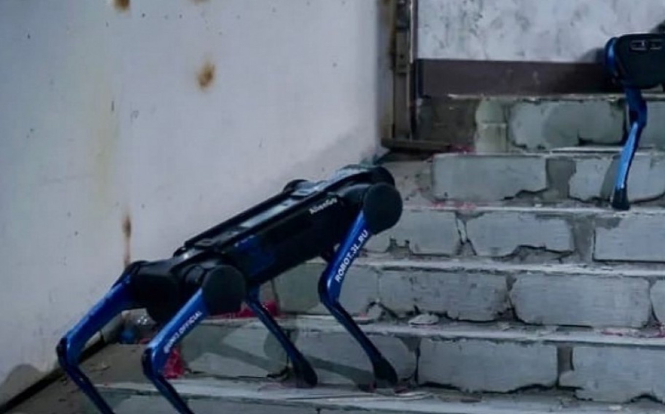 
					Robo-Belka and Robo-Strelka go for a walk.					 					vdnh.ru				