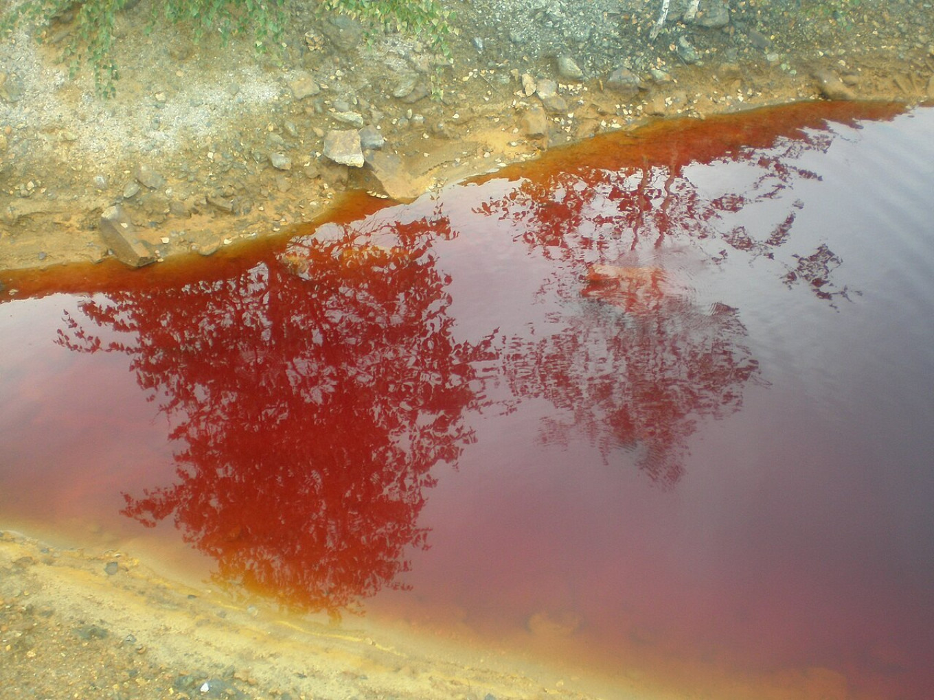 
					The Sak-Elga River.					 					Sergey Narukov / CC BY 3.0 via Wikimedia Commons				