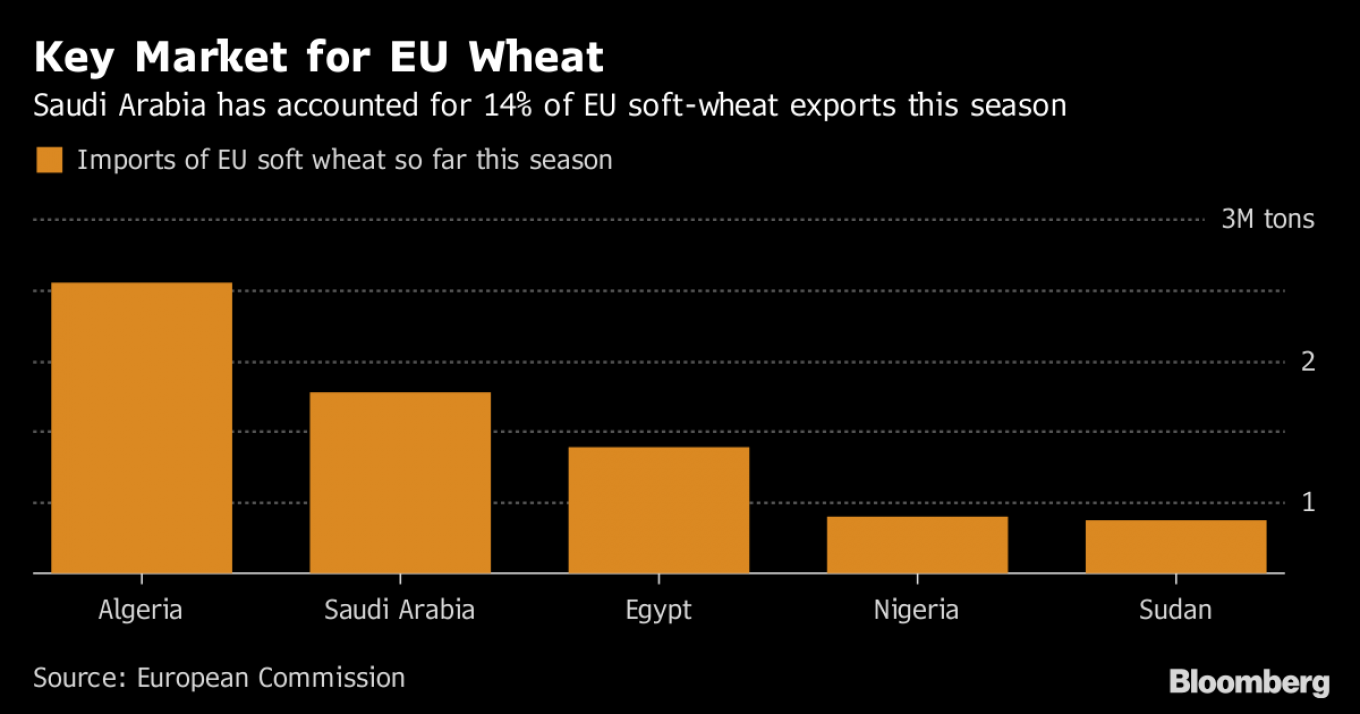 Rusia mengincar pasar gandum Saudi yang didominasi oleh pasokan UE