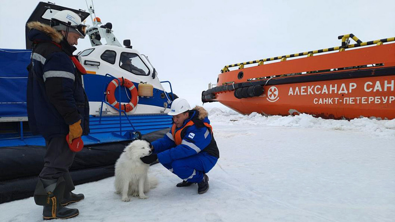 
										 					Gazpromneft-Yamal				