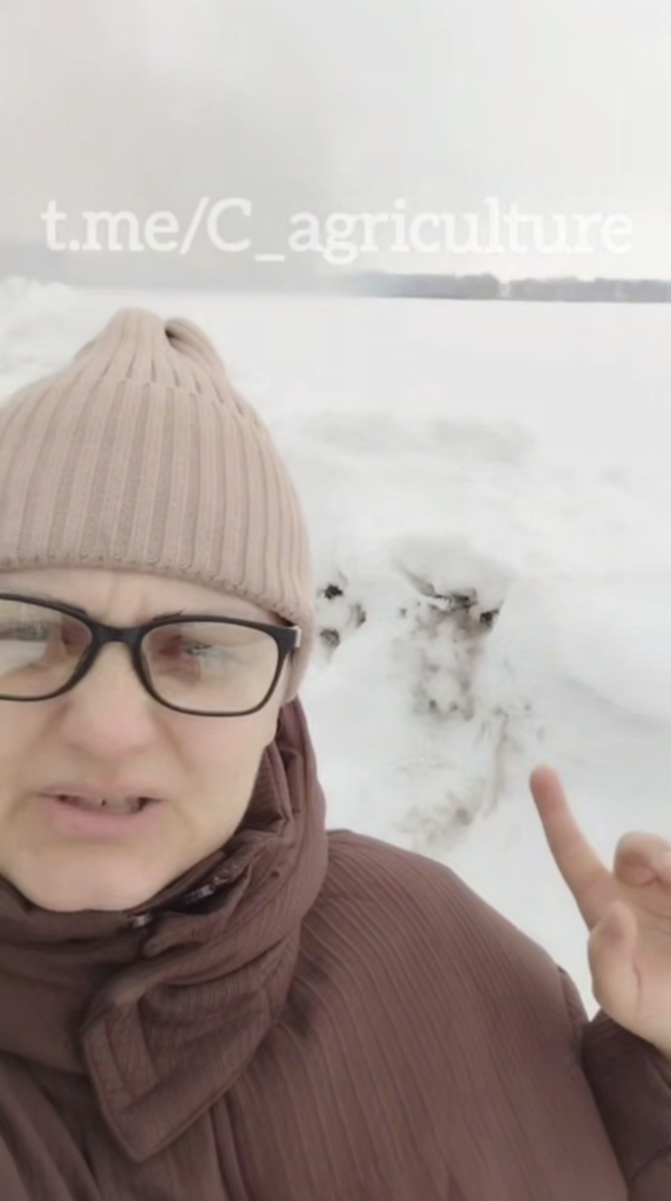 
					A resident of the village of Chernokurya shows smoke rising in the distance as livestock were cremated on Monday.					 					c_agriculture / Telegram				