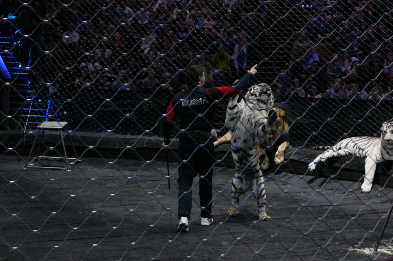 
					The Zapashny brothers say they treat their animals well.					 					MT				