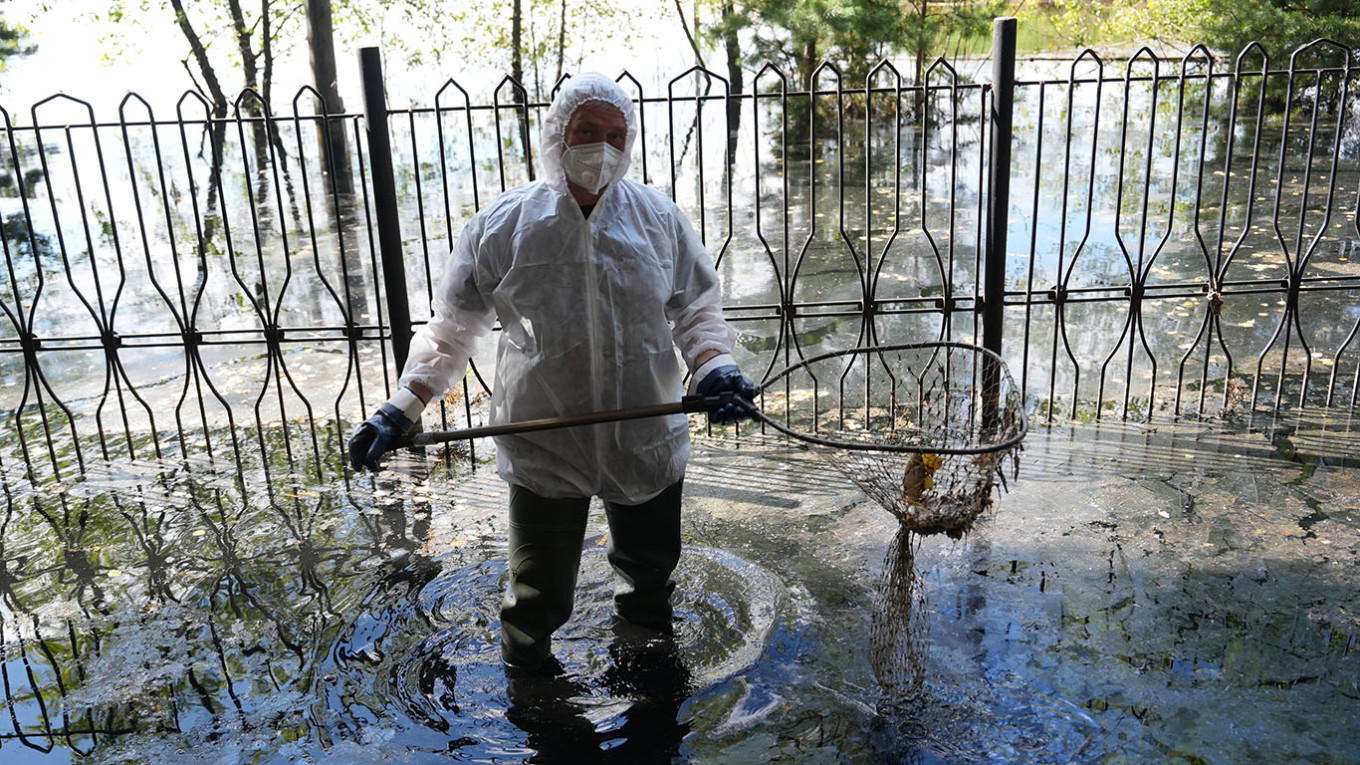 
					A worker involved in cleanup efforts along the banks of the Tura River in the city of Tyumen.					 					Maxim Afanasyev / VKontakte				