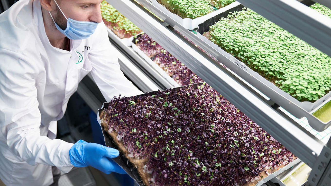 
				Vertical farms license their climate-managing software and receive royalties from product sales.				 				iFarm			