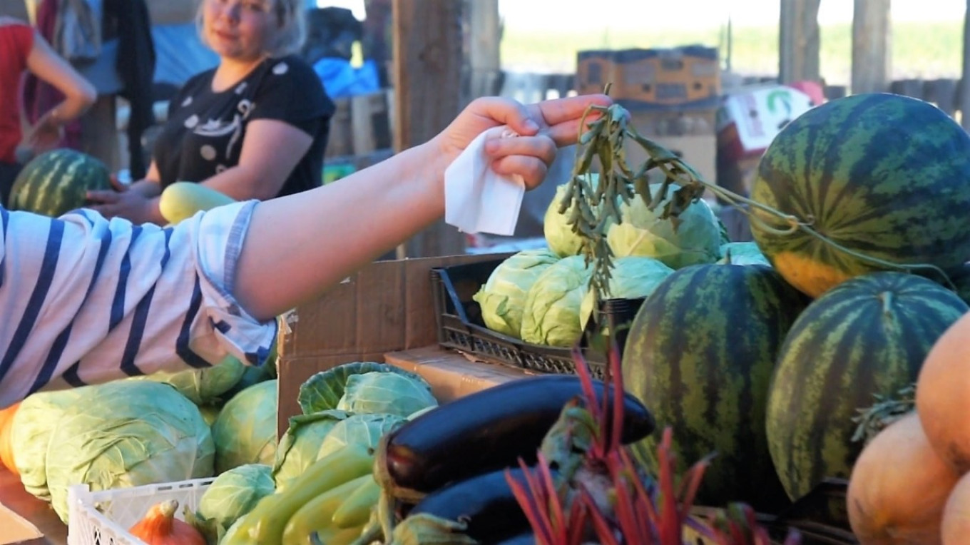 
					Here is a Sakha watermelon, clearly home-grown as shown by the stem still attached.					 					Courtesy of authors				