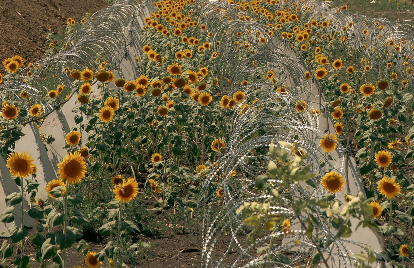 New reinforced defensive lines are being installed east of Donetsk, outside of Dobropillia, in anticipation of further Russian advances. Sunflowers, a symbol of Ukraine, have taken root between barbed wires and dragon teeth. Louis Lemaire-Sicre / Hans Lucas