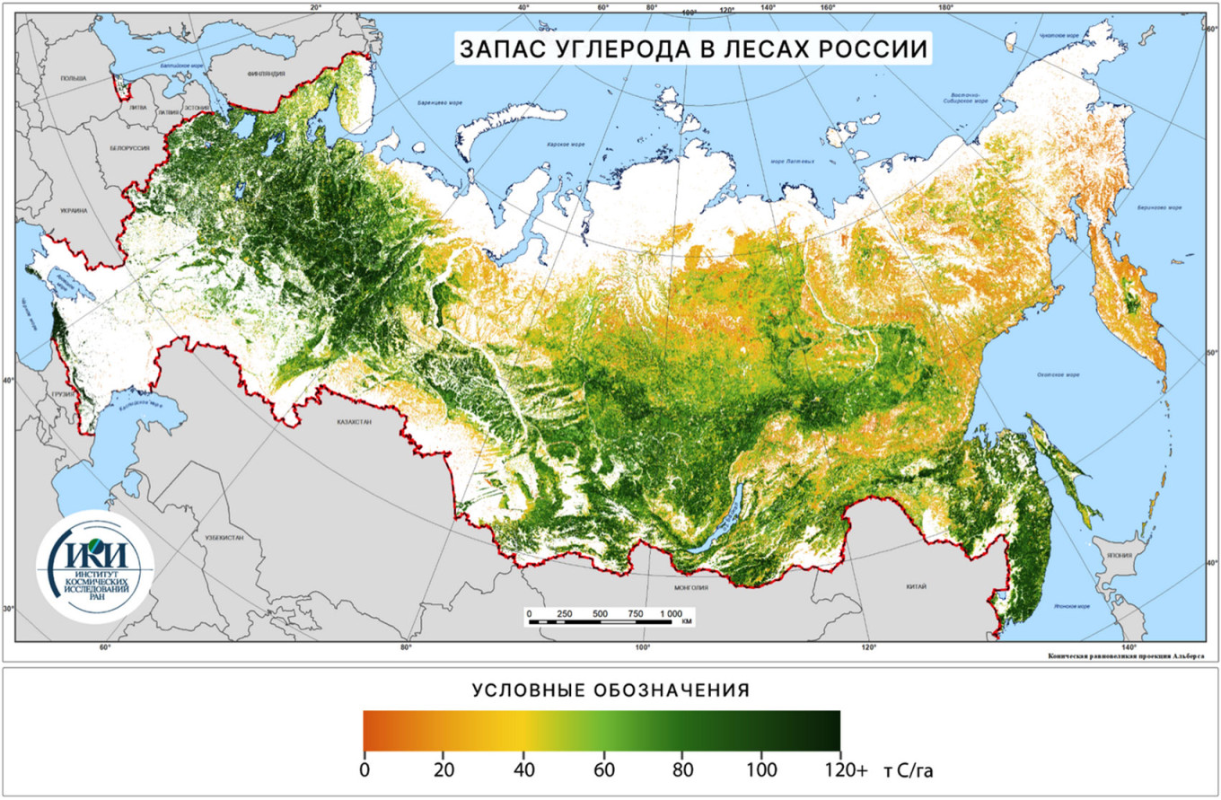 
					Carbon stock in Russian forests, tons per hectare.					 					Space Research Institute of the Russian Academy of Sciences 				