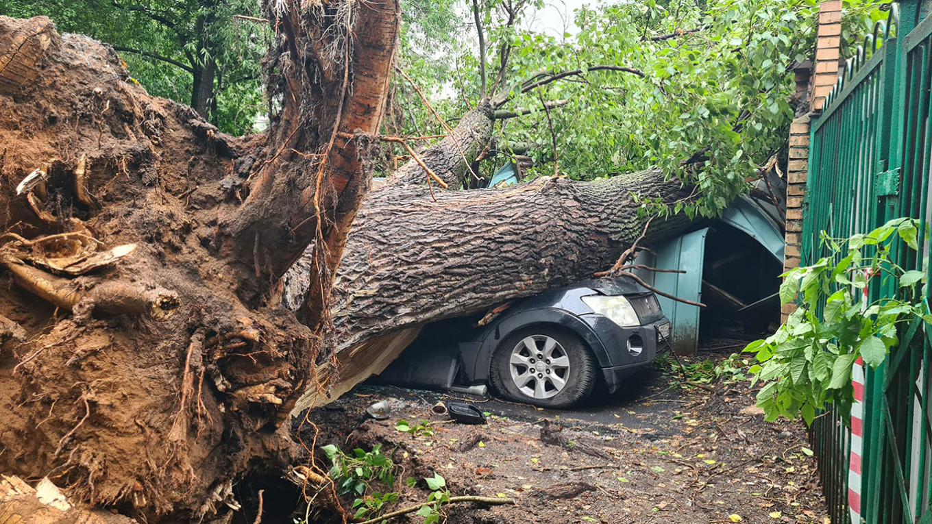 
					A tree falling on a car.					 					Denis Voronin / Moskva News Agency				