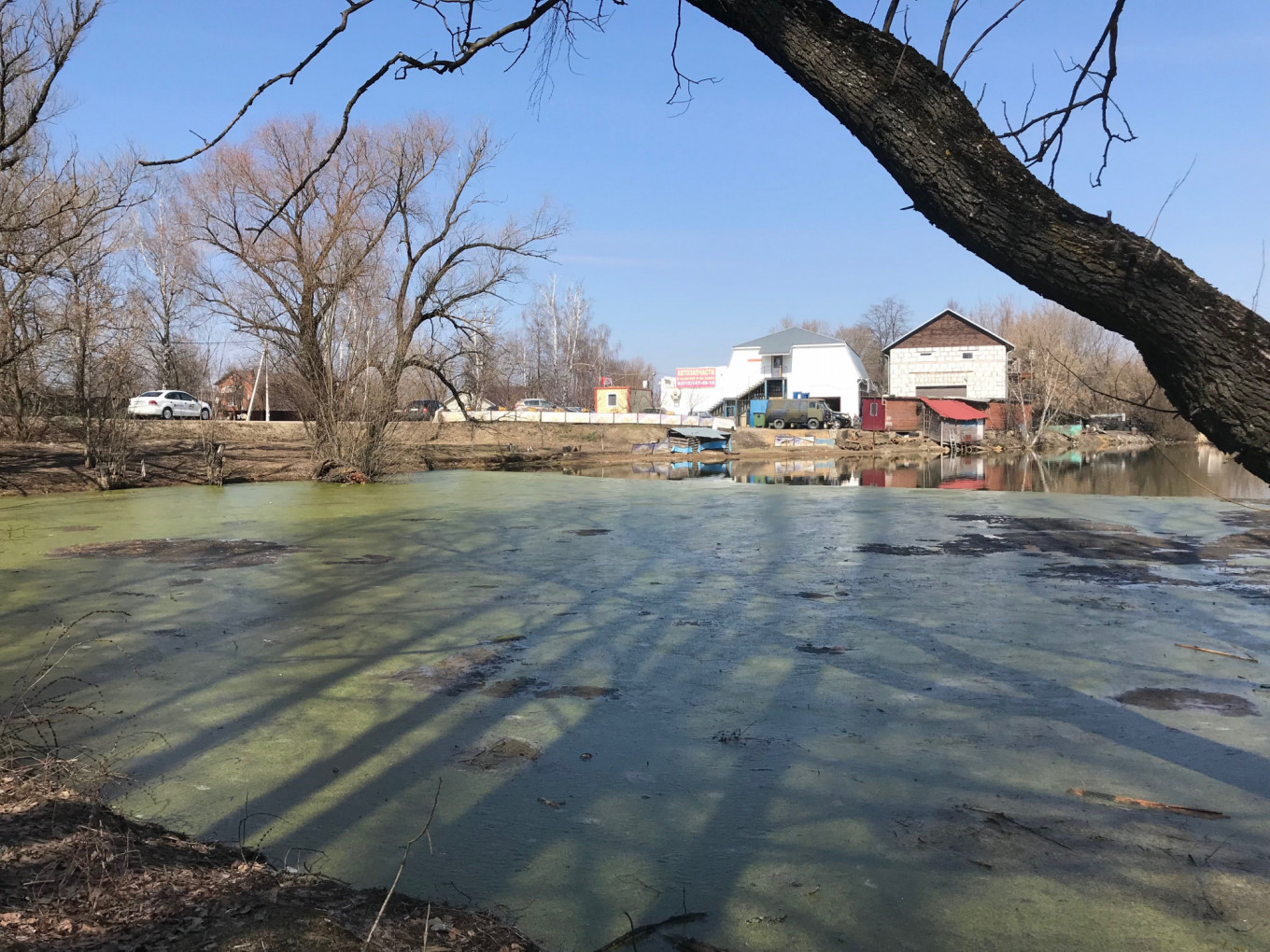 
					The Barybino pond, where Serbinov's body was found last year, is a gathering place for local drunks.					 					Evan Gershkovich / MT				