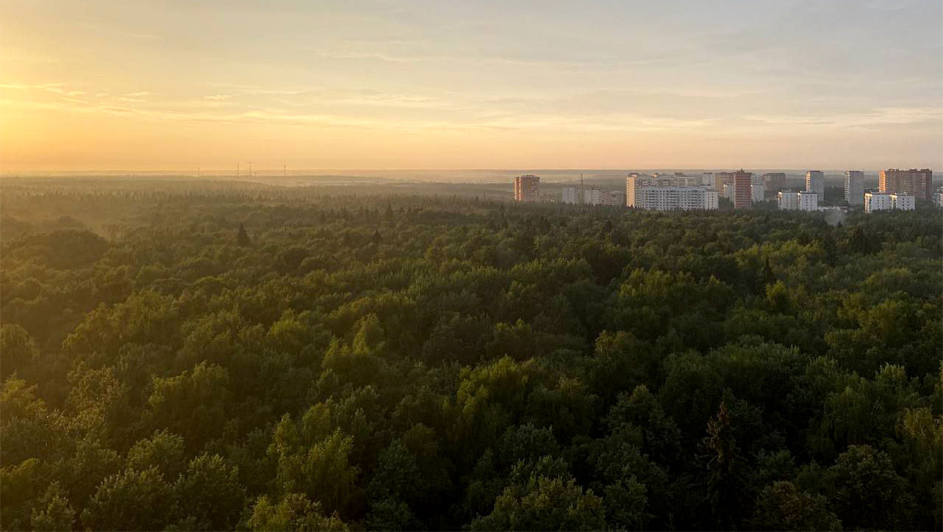 
					Troitsky Forest.					 					Photo courtesy of the Save Troitsky Forest initiative				