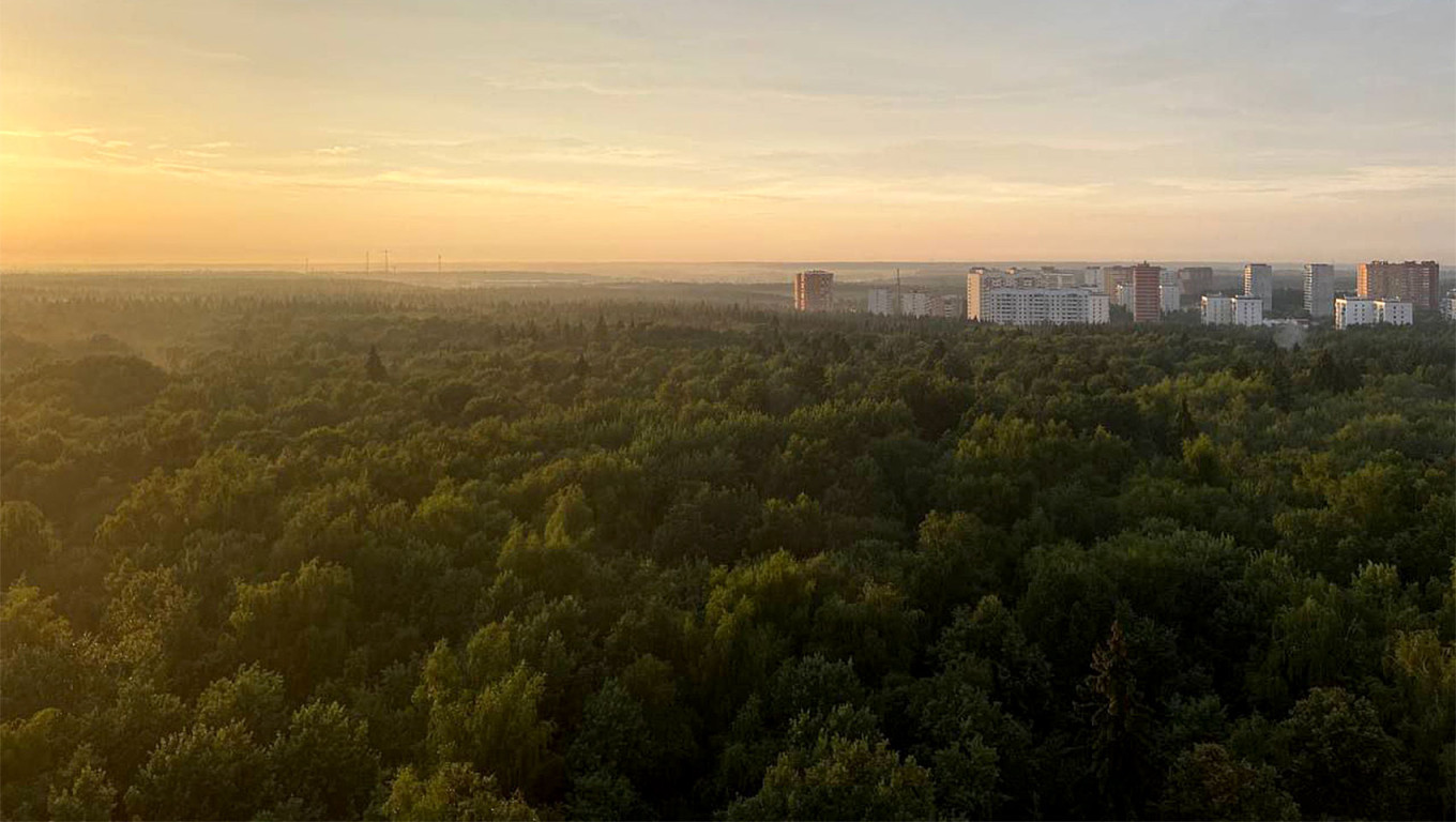 Moscow Mayor’s Urban Forest ‘Improvement’ Sparks Grassroots Resistance – The Moscow Times