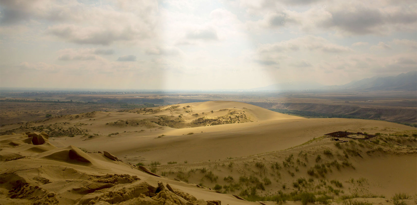 Сари-Кум Песчаный Парсон в Дагестанском государственном природном заповеднике, Кумторкалинский район.  Кнрим (CC BY-SA 4.0)