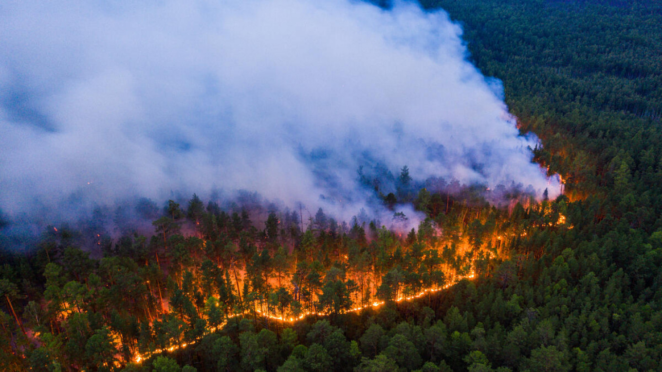 The  rainforest is on fire. Climate scientists fear a