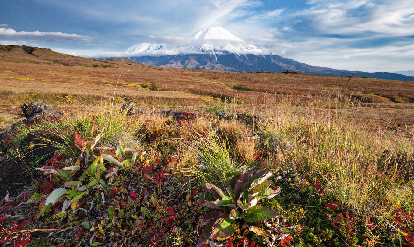 
					 The mountain-tundra belt of the volcanic plateaus of Central Kamchatka.					 					Anton Korablev (CC BY 4.0)				