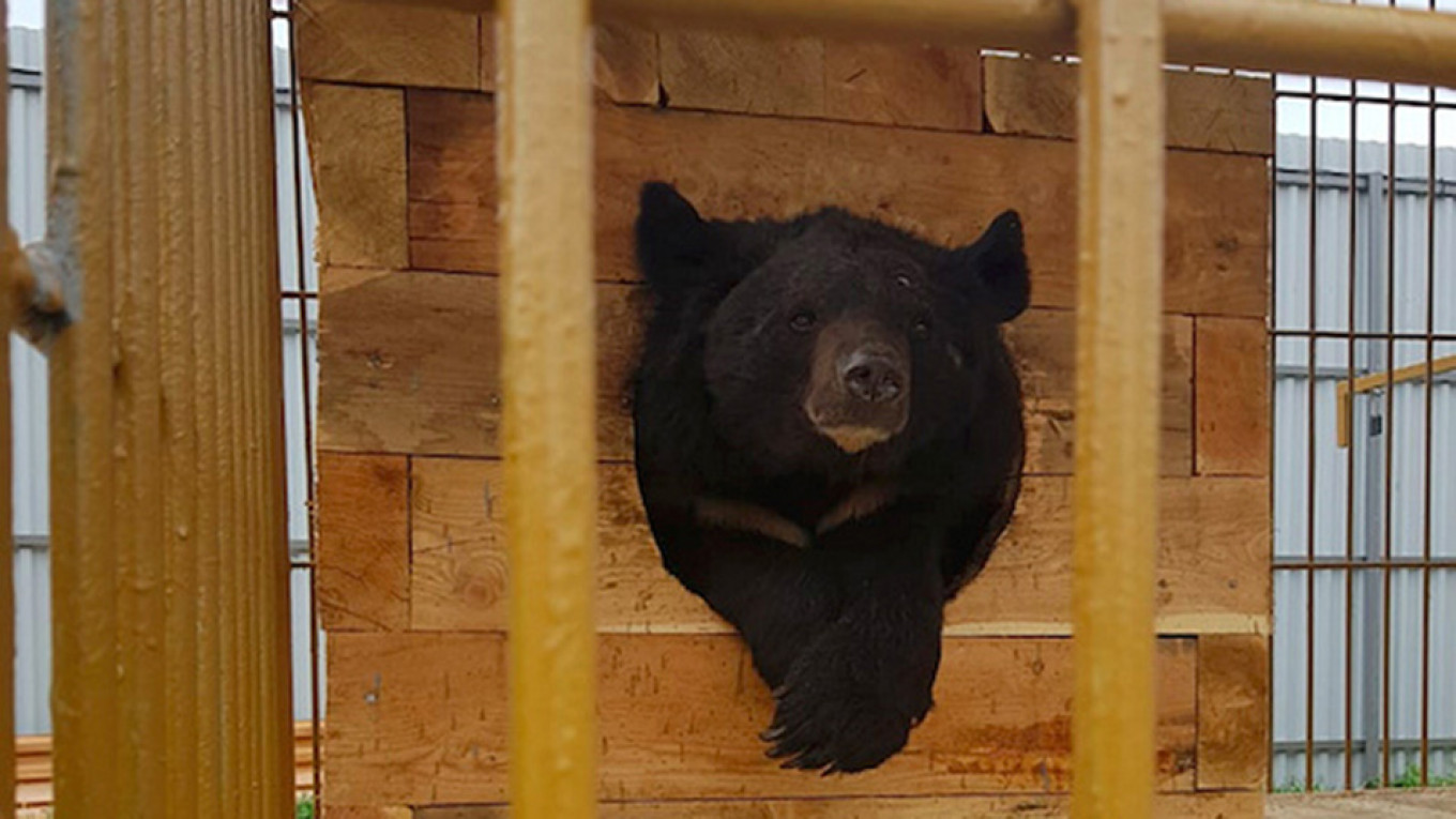 
										 					Sadgorod Zoo Press Service				