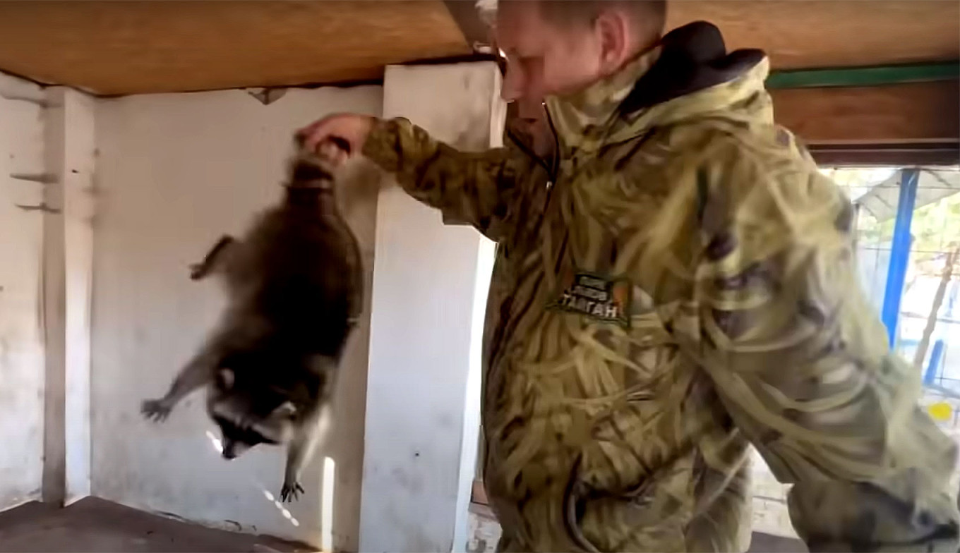 
					Oleg Zubkov steals a raccoon in Kherson Zoo.					 					Oleg Zubkov / YouTube				