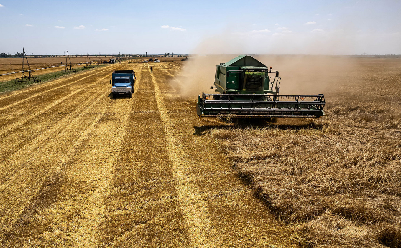 Bitter Harvest: Russia Gathers Grain in Occupied Ukraine