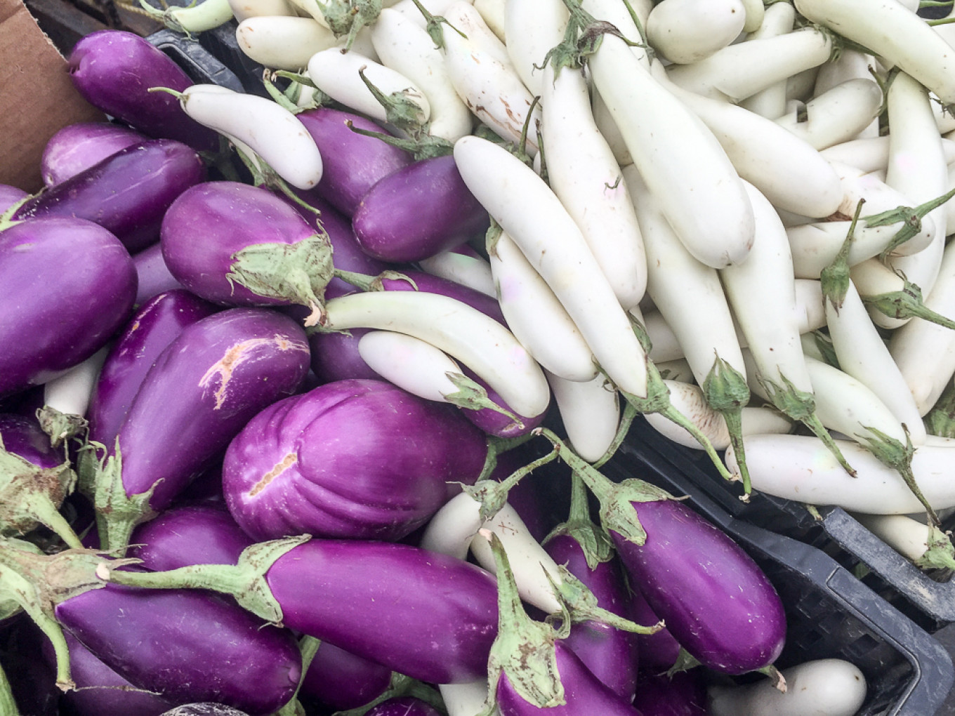 
					Moscow markets have several kinds of eggplant					 					Jennifer Eremeeva / MT				