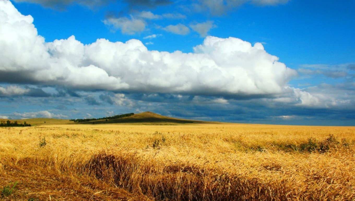 Ukraine Takes 'Worldâ€™s Largest Grain Exporter' Title From