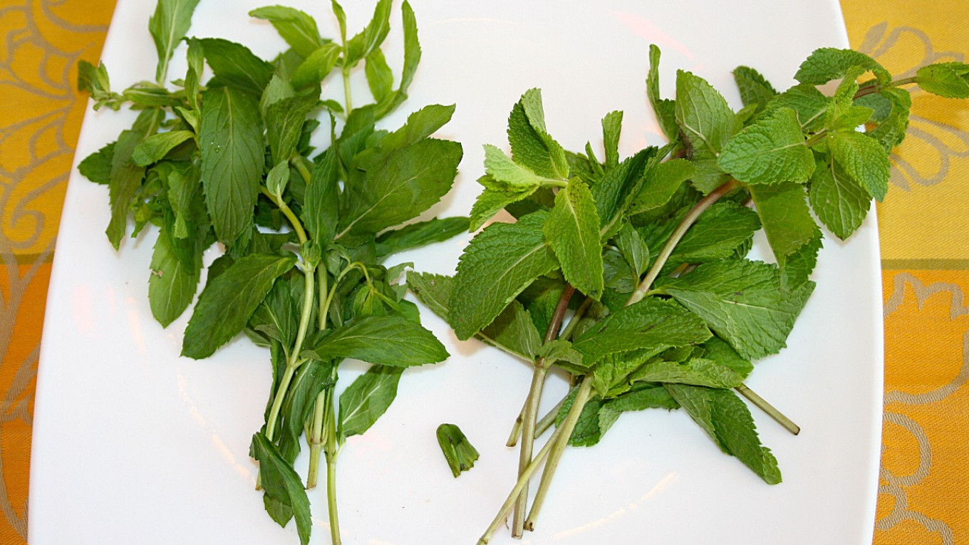 
					Mint for tea (left) and for meat (right).					 					Courtesy of authors				