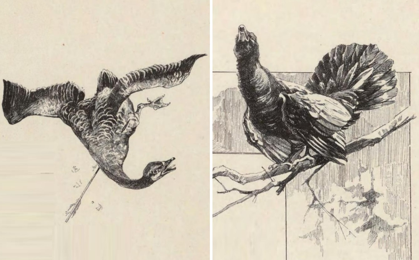 
					Duck and grouse (from the book “Grand Ducal and Tsar hunting in Russia,” 1896).					 					Wikimedia Commons				