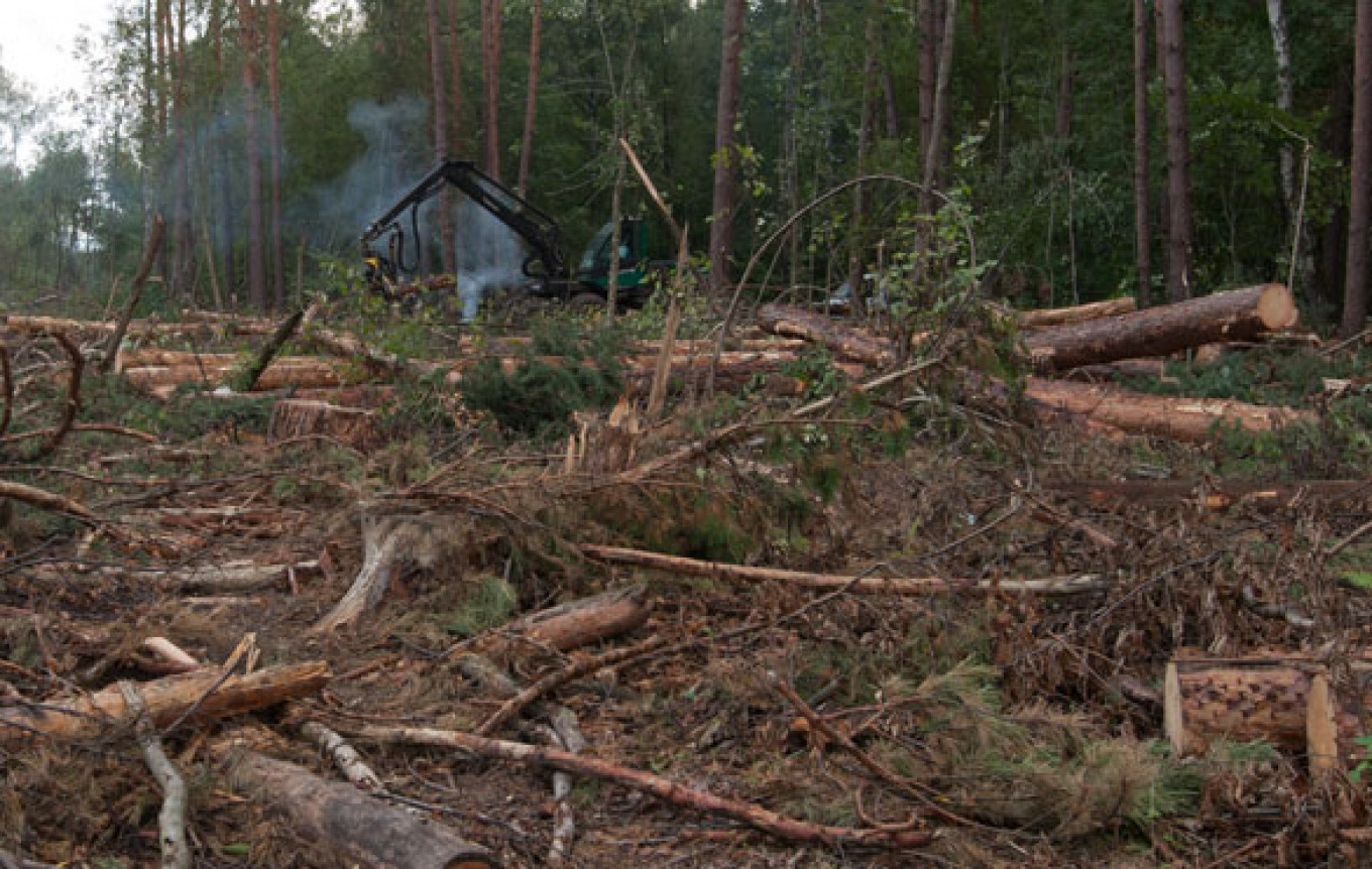 Khimki Forest Activists Claim Workers Beat Them