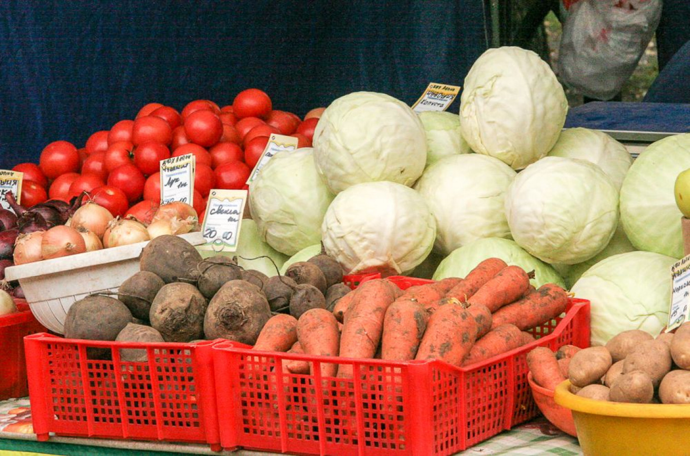 
					Truckloads of cabbages and carrots.					 					Jennifer Eremeeva / MT				