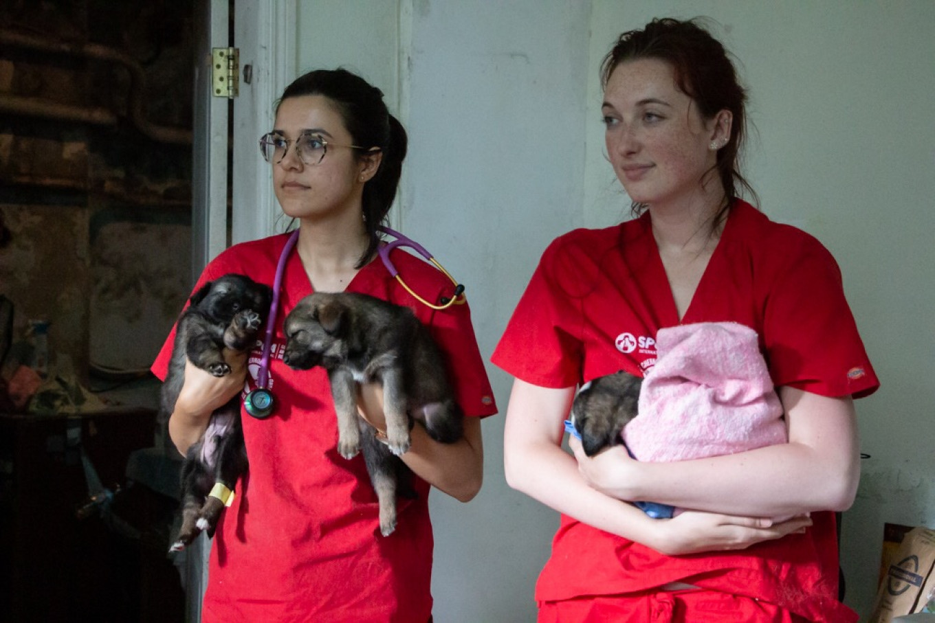 
					Volunteers hold puppies as they await medical treatment.					 					SPCA International				