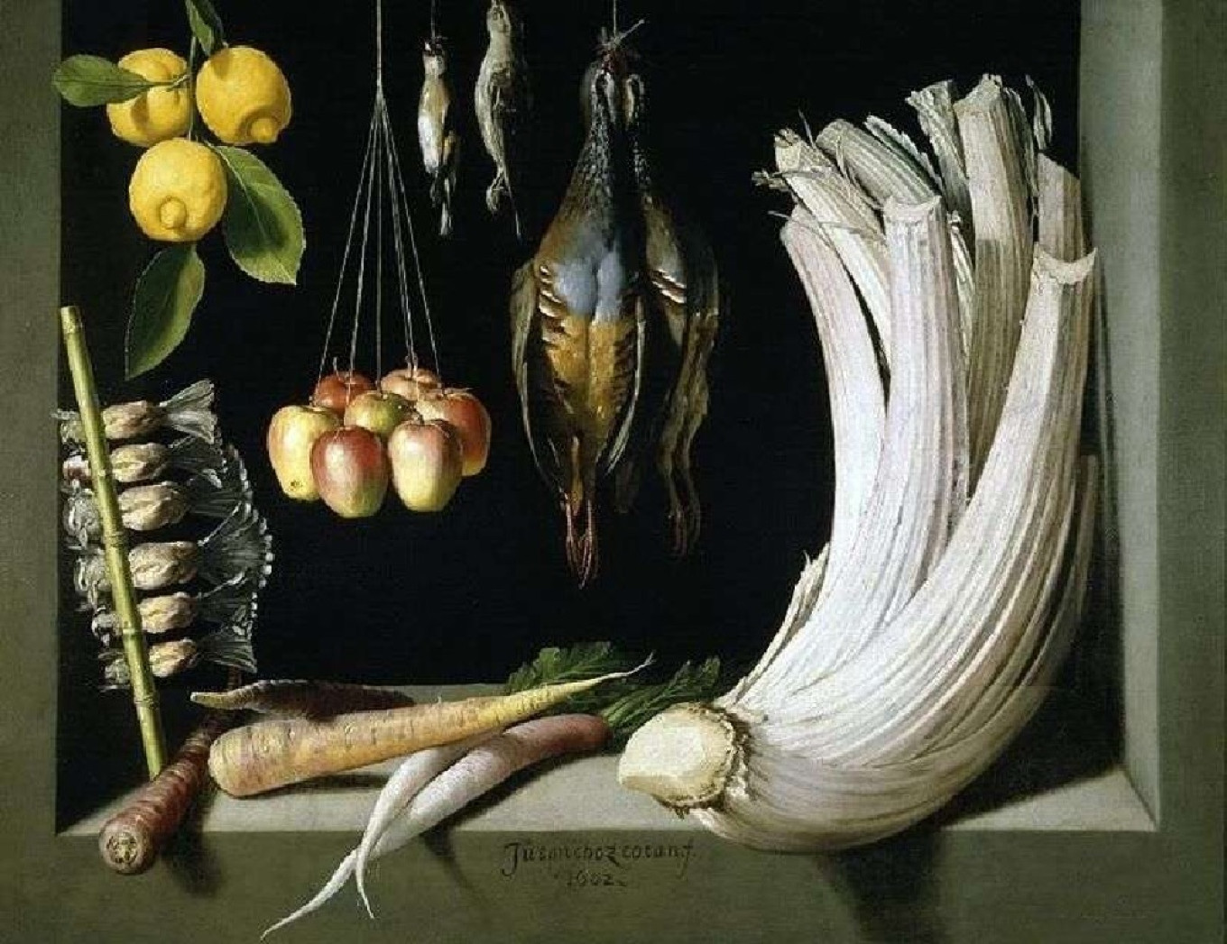 
					“Still Life with Game, Vegetables and Fruit” by Juan Sánchez Cotán (cardoon on the right), 1602, Museo del Prado.					 					Wikimedia Commons				