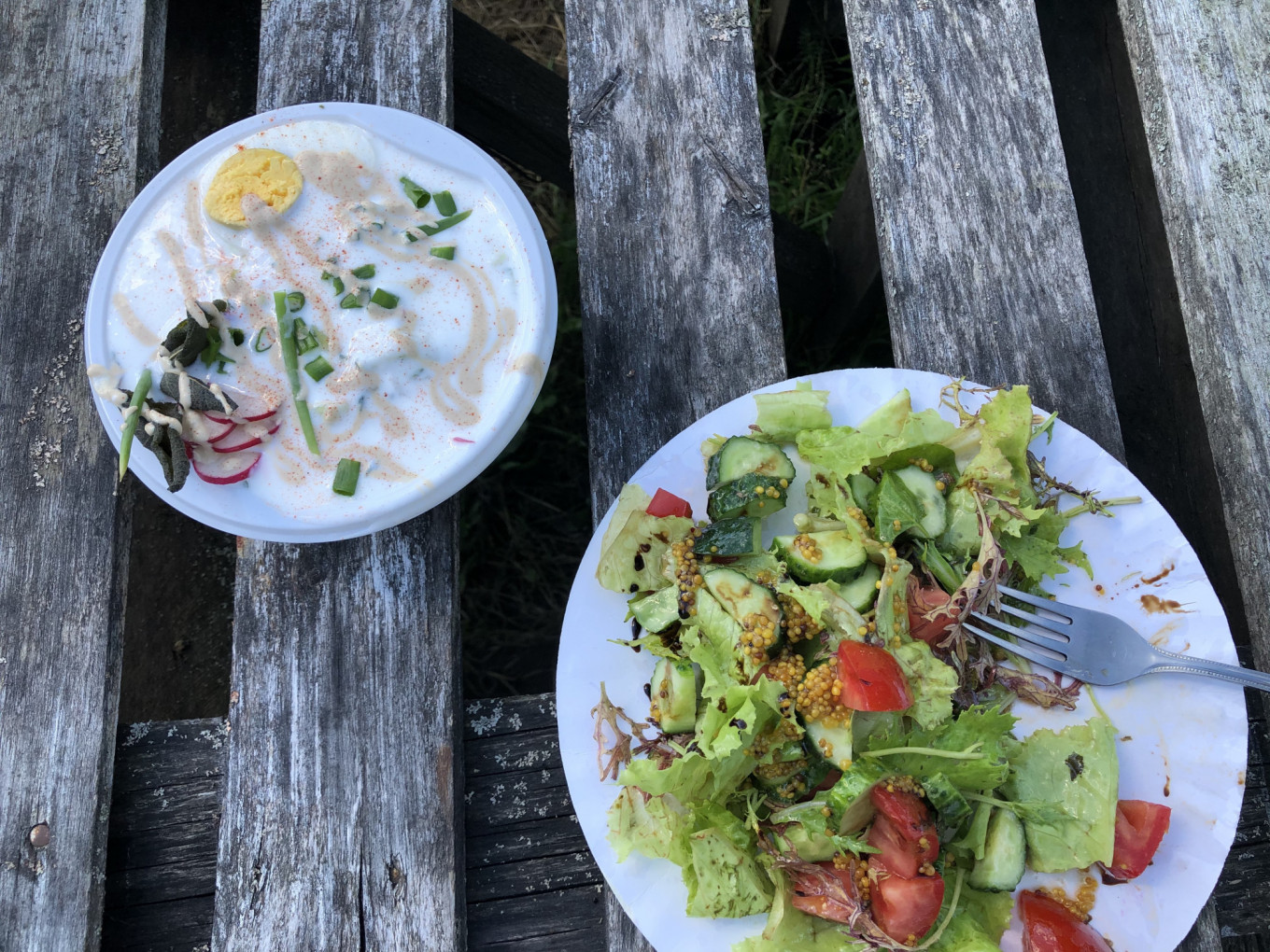 
					Lunch at the Ferma Cafe: Russian okroshka made with kefir and a fresh vegetable salad.					 					Samantha Berkhead / MT				