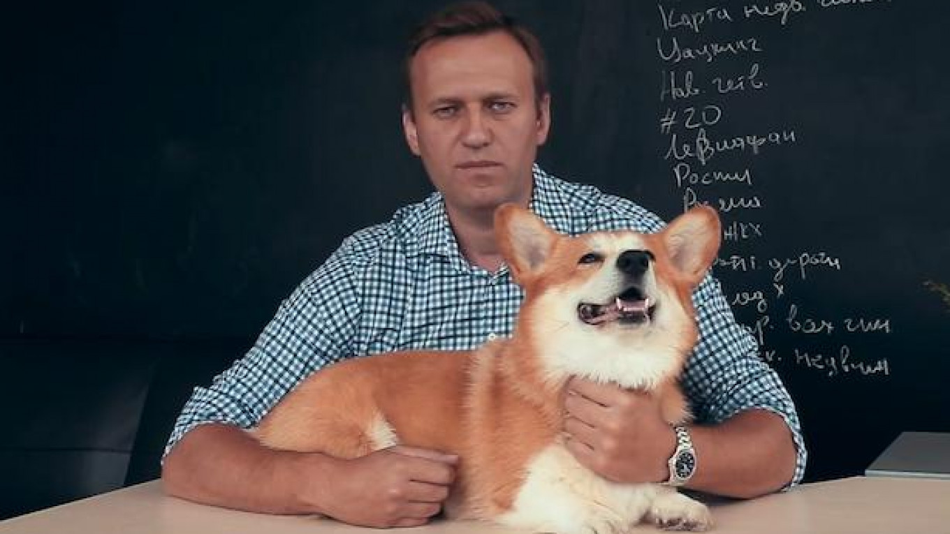 
										 					Alexei Navalny / YouTube				