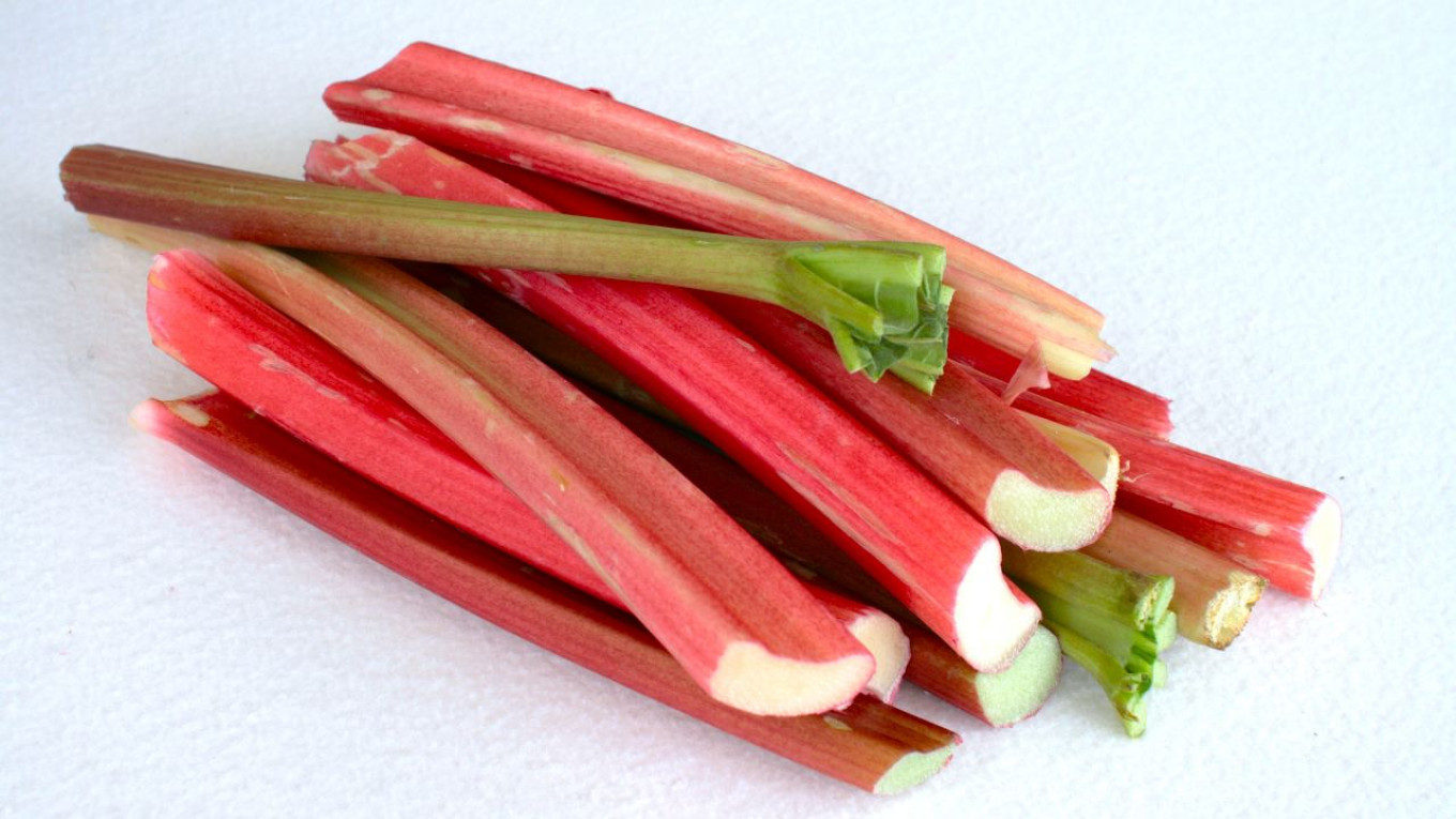 
					Rhubarb stalks					 					Pavel and Olga Syutkin				