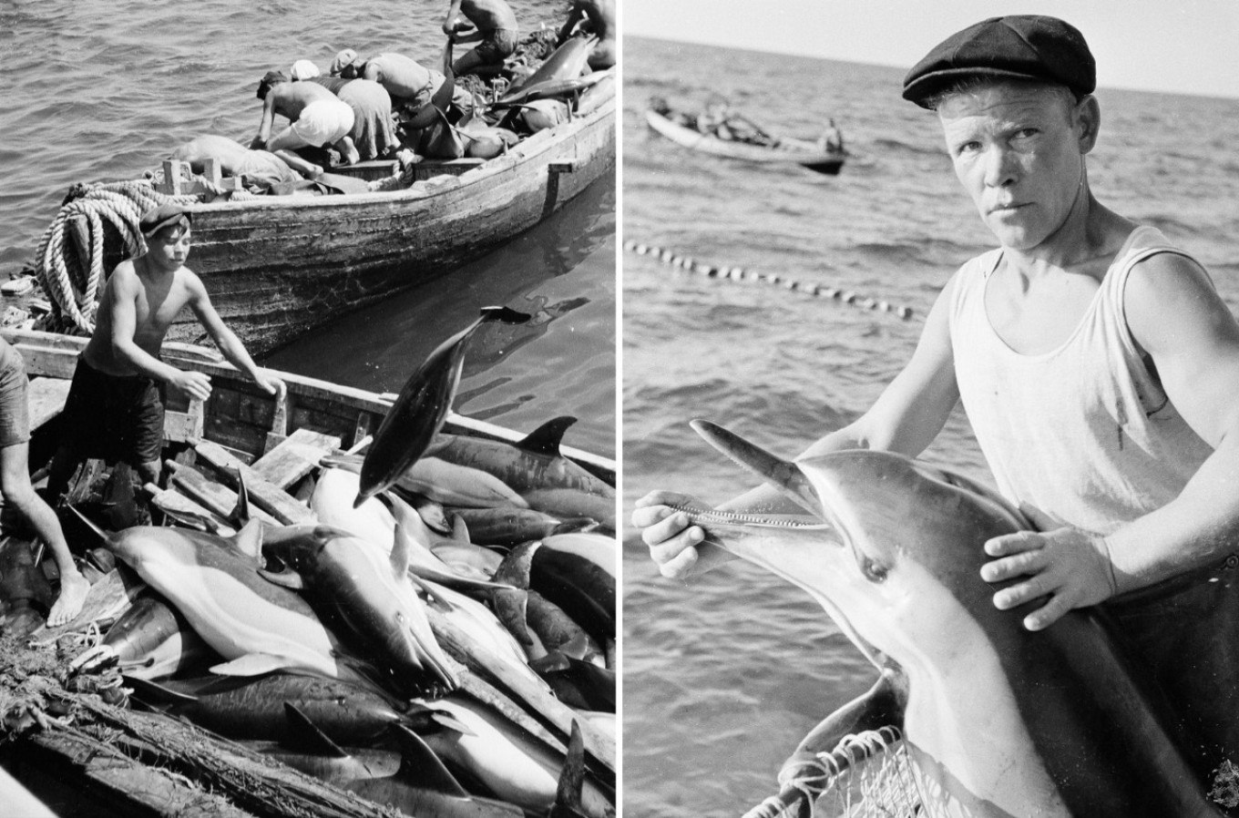 
					Dolphin fishing, Tuapse 1947.					 					Wikimedia Commons				