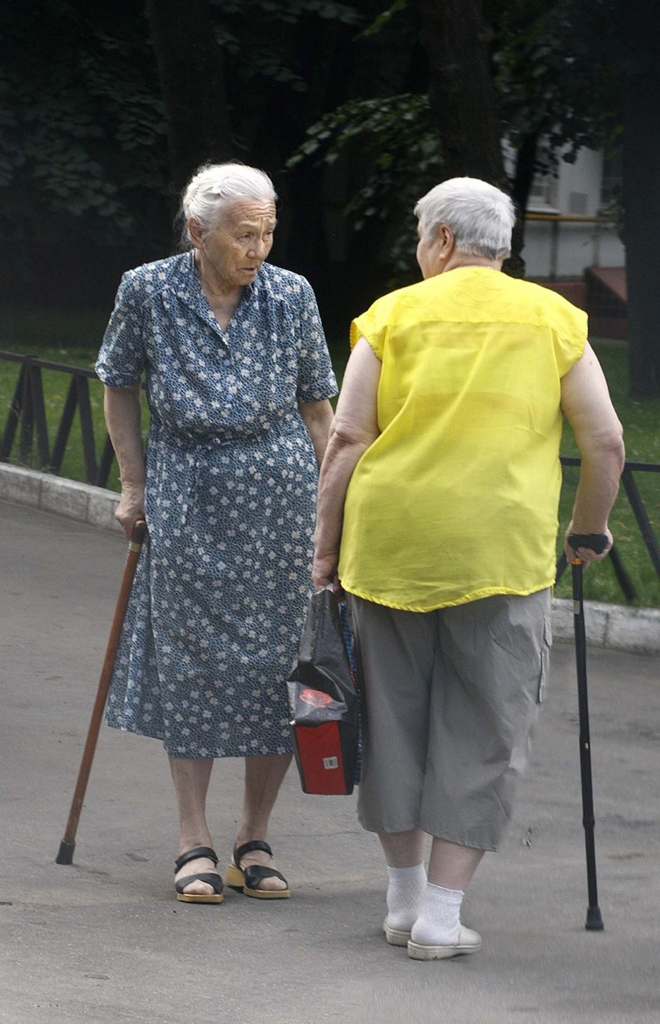 
					Two neighbors meet in their yard.					 					Vladimir Filonov / MT				