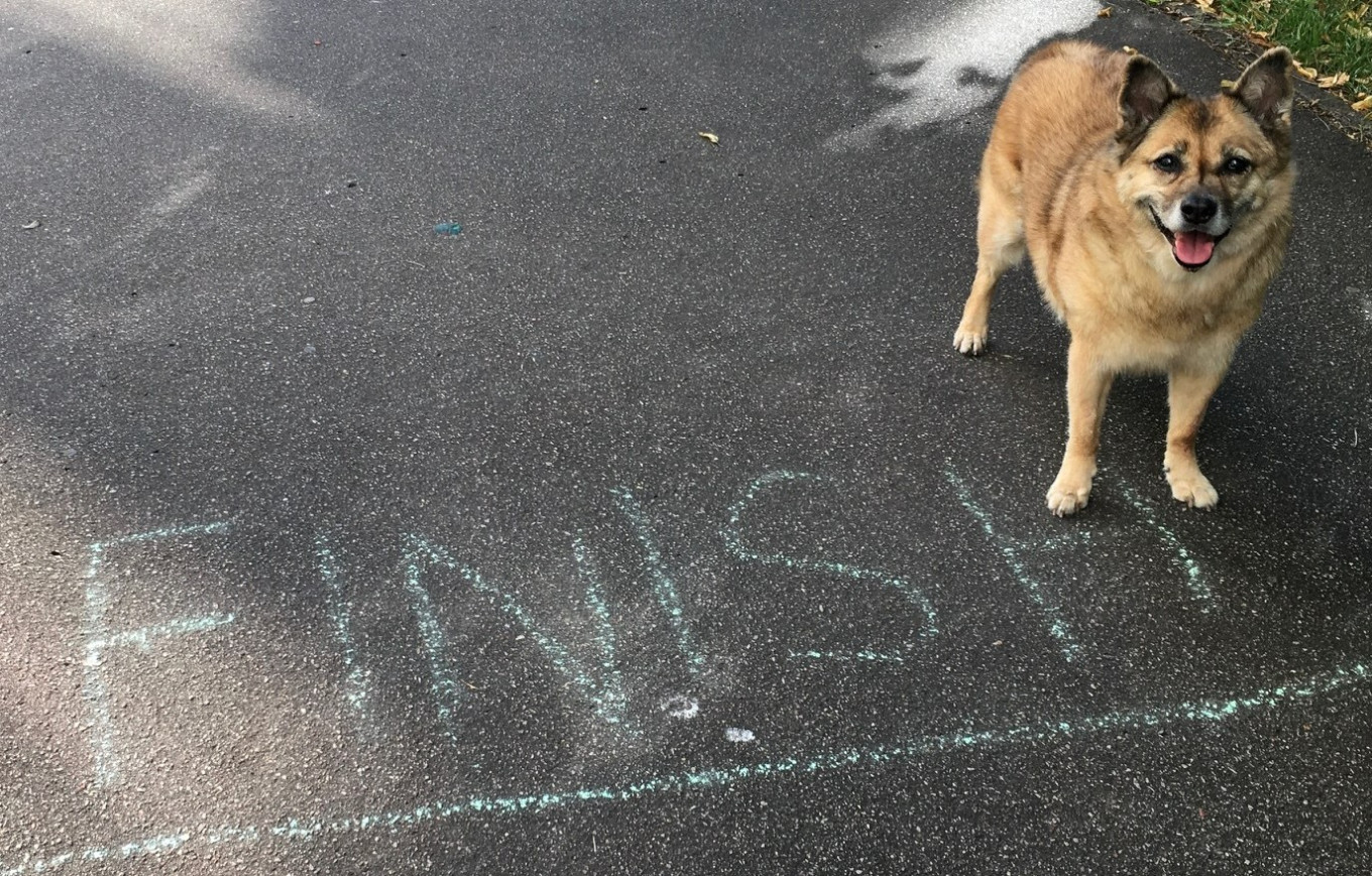 Michele's dog, Riley, in Riga