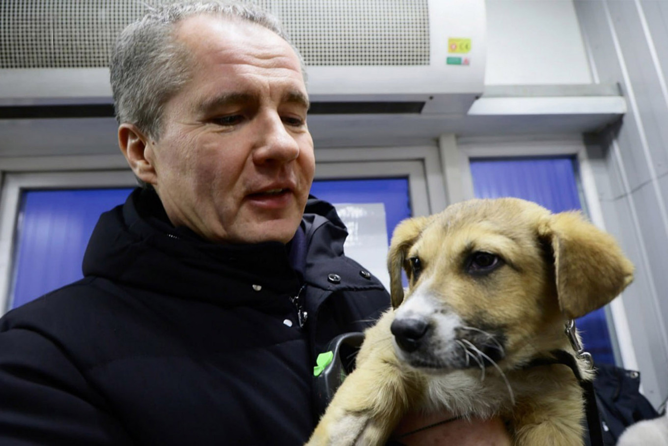 
					Then-Governor Vyacheslav Gladkov during a PR-ready visit to a Belgorod animal shelter in January.					 					@vgladkov / Telegram				