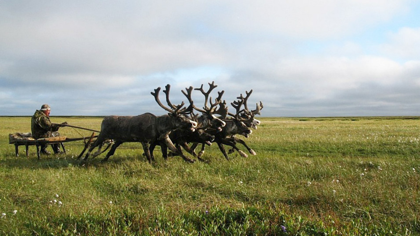 udarbejde shilling utilsigtet Russian Arctic Island Becomes Nature Reserve - The Moscow Times