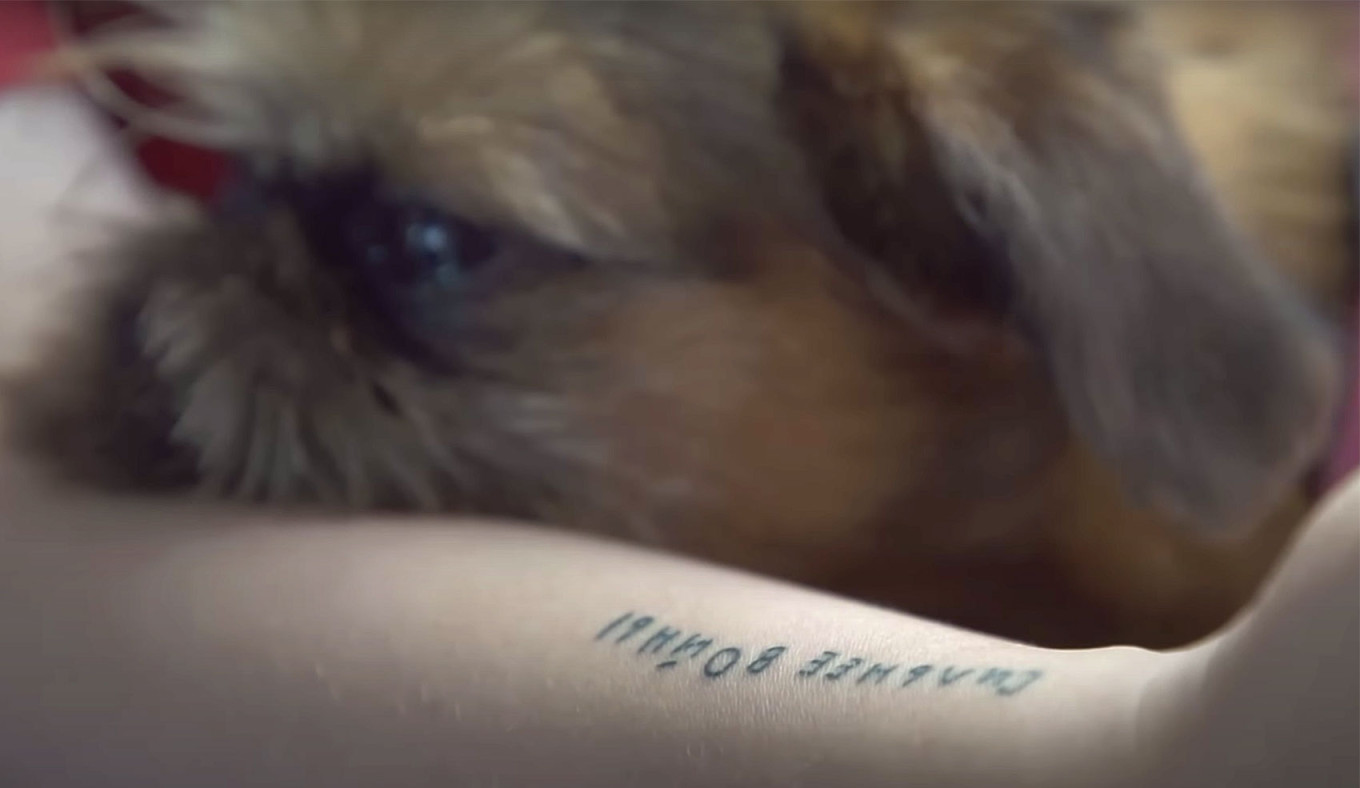 
					Tattoo with the inscription "Stronger than War" on Yulia's arm.					 					Dozhd TV channel				