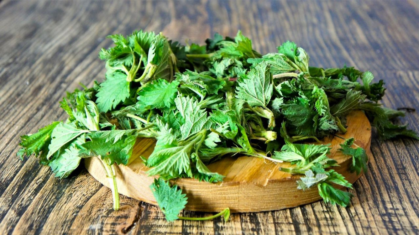 
					Young nettle leaves					 					Pavel and Olga Syutkin				