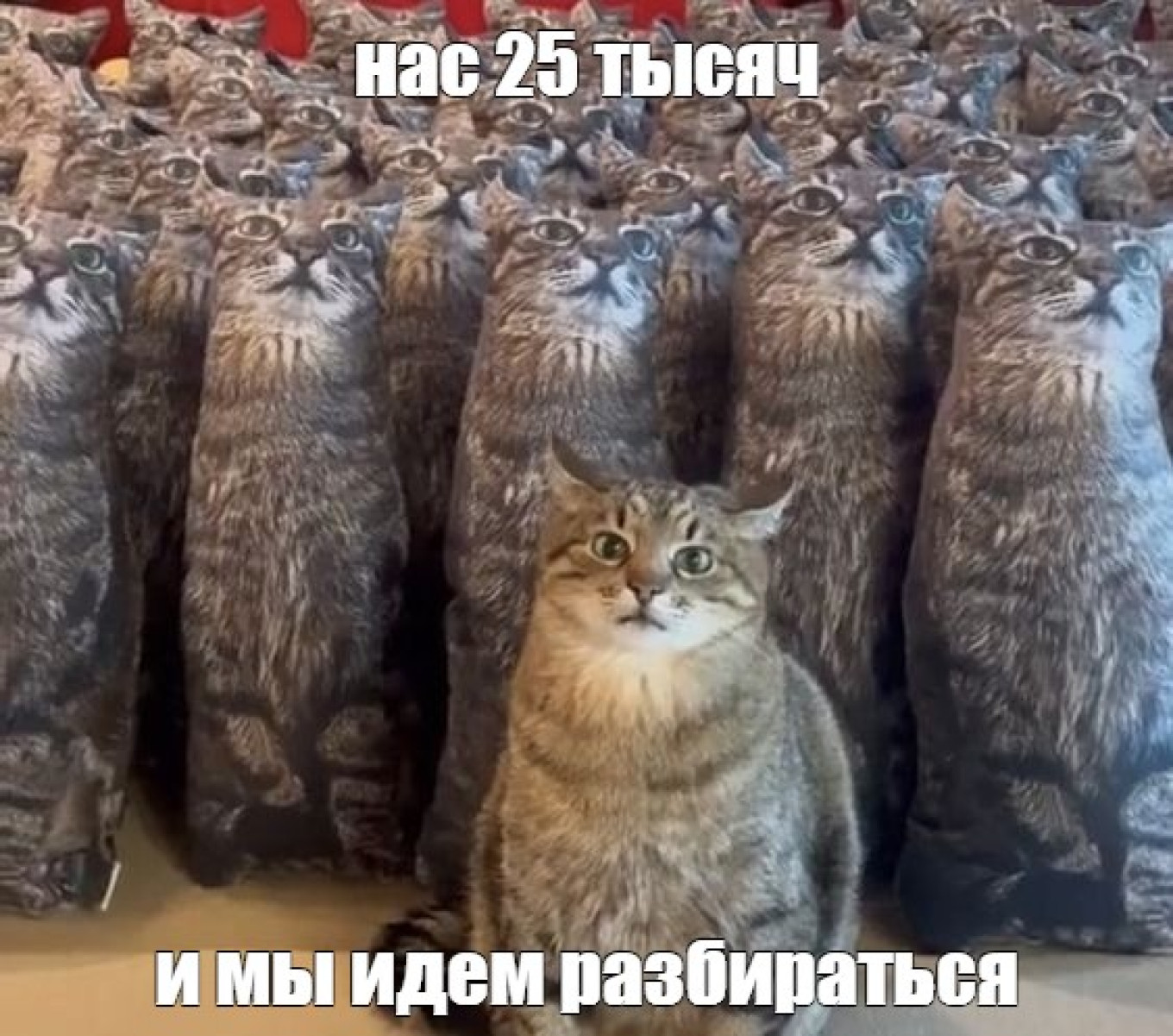 
					"There are 25,000 of us, and we’re going to sort things out."					 					meme-arsenal.com				