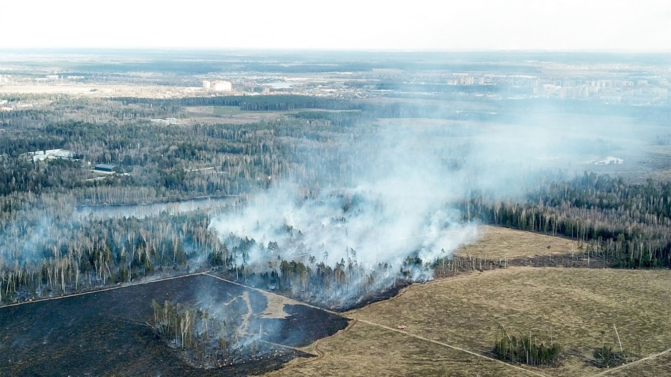 
					A forest fire in the Moscow region.					 					Moskva News Agency				