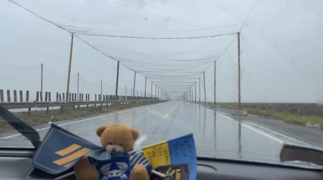 Anti-drone nets over the M-14 highway. Stanislav Storozhenko