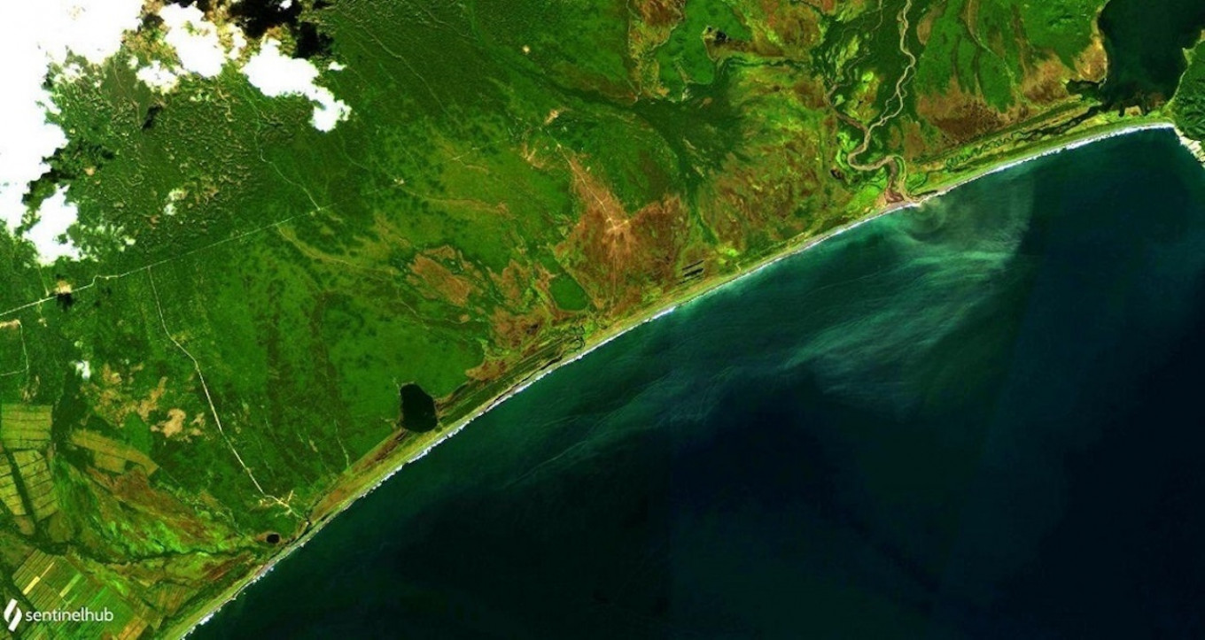 A satellite image showing the Kamchatka coastline on Sept. 9 zelenyikot / livejournal / Sentinel Hub / Greenpeace